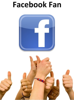 pc3a1gina facebook marketing1