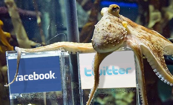 pulpo paul elige red social
