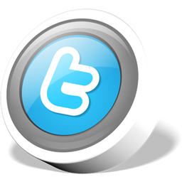 twitter boton